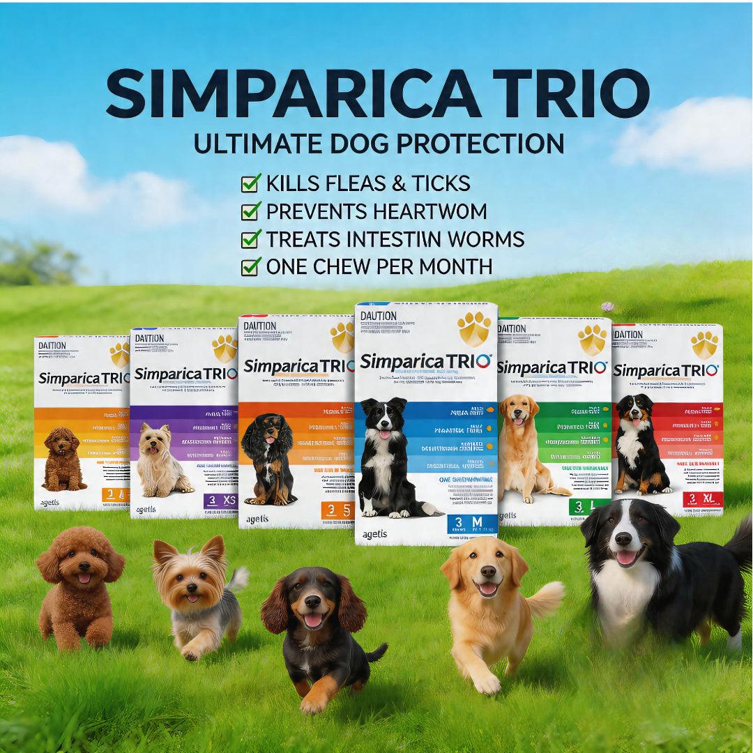 Simparica Trio dog protection chews for fleas, ticks, and heartworm with happy dogs on grass