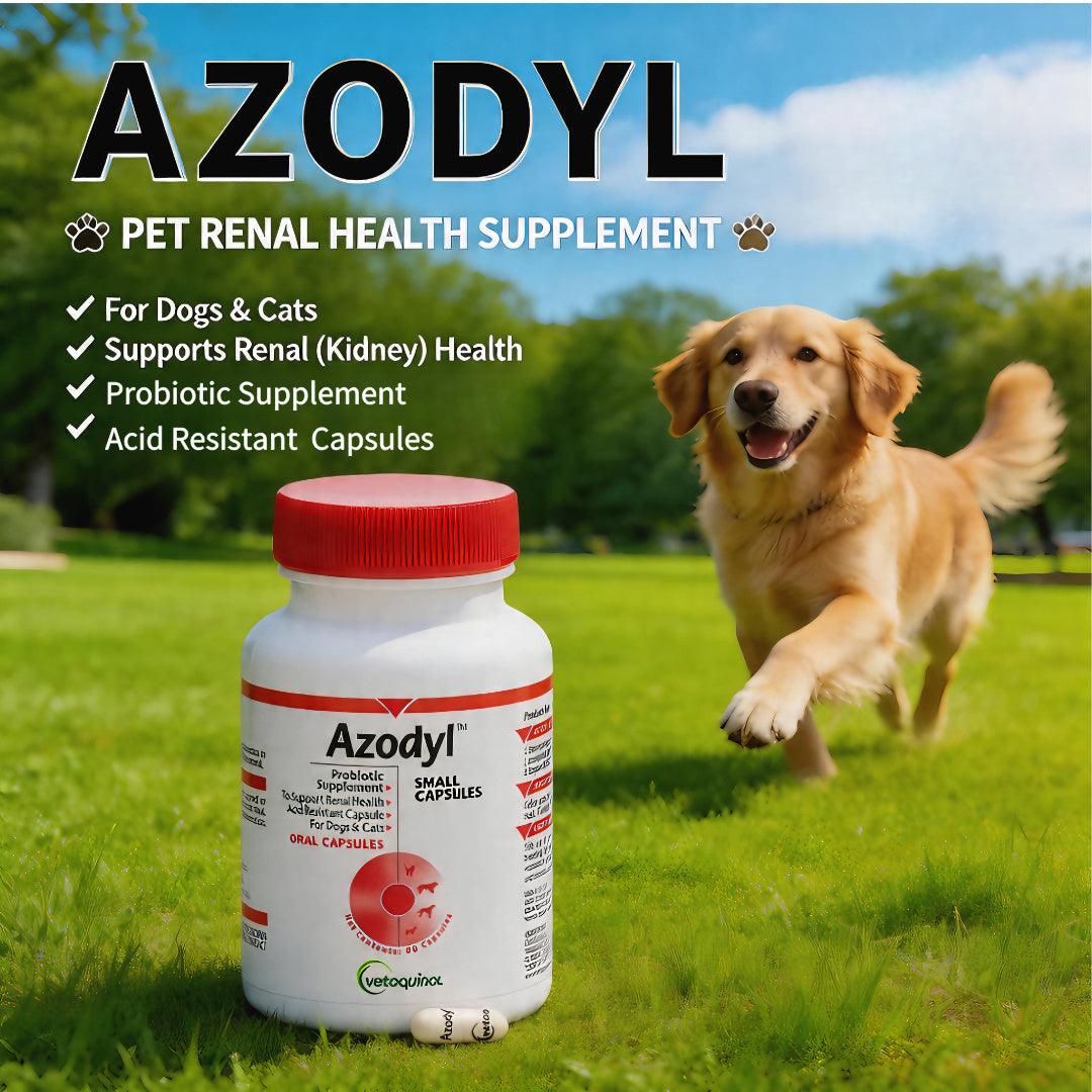 Azodyl pet renal health supplement for dogs & cats, probiotic capsules supporting kidney health, shown with happy golden retriever outdoors