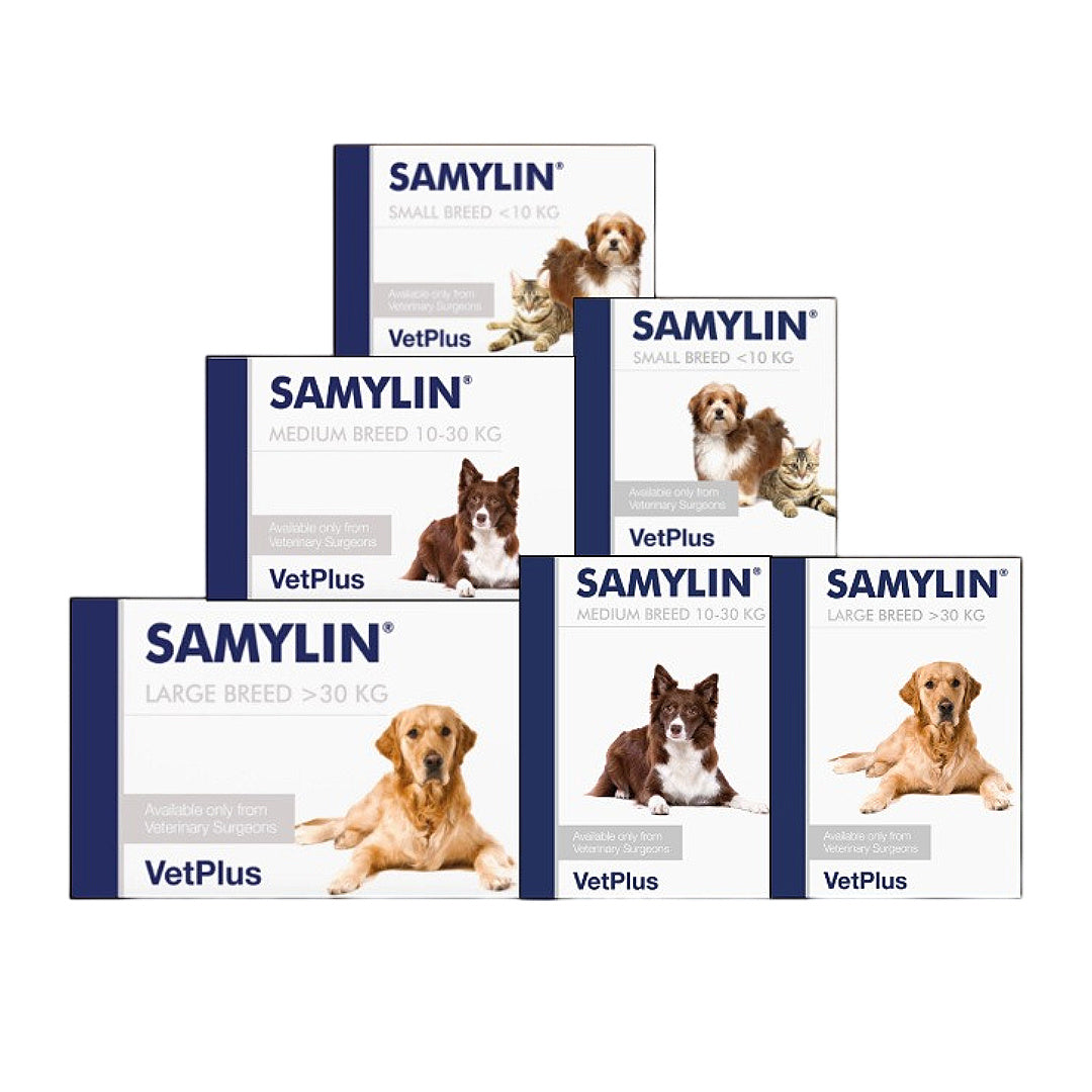 vetplus veterinary pet supplements for dogs and cats, joint, gut, urinary, skin and calming care singapore