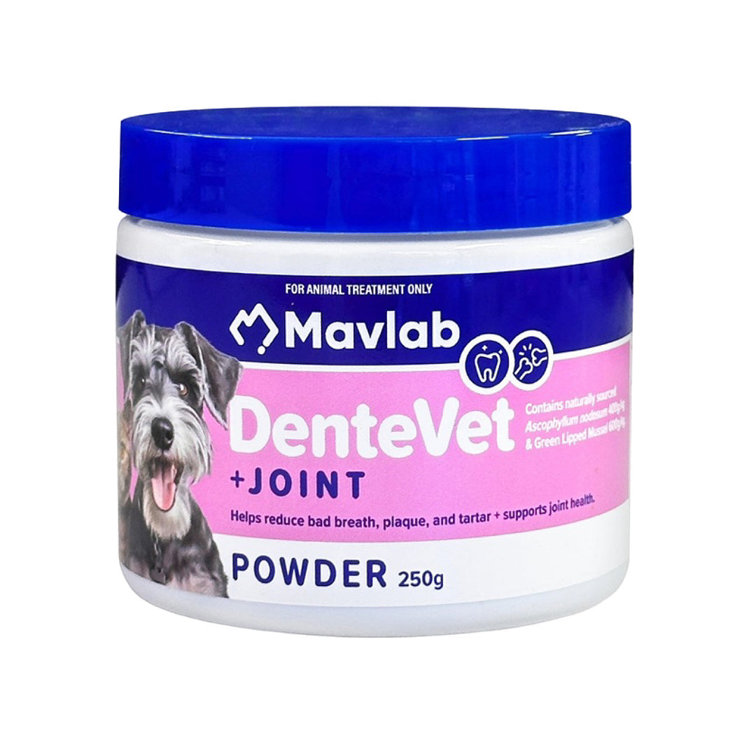 Mavlab DenteVet + Joint Powder for dogs, supports dental & joint health, 250g pet supplement