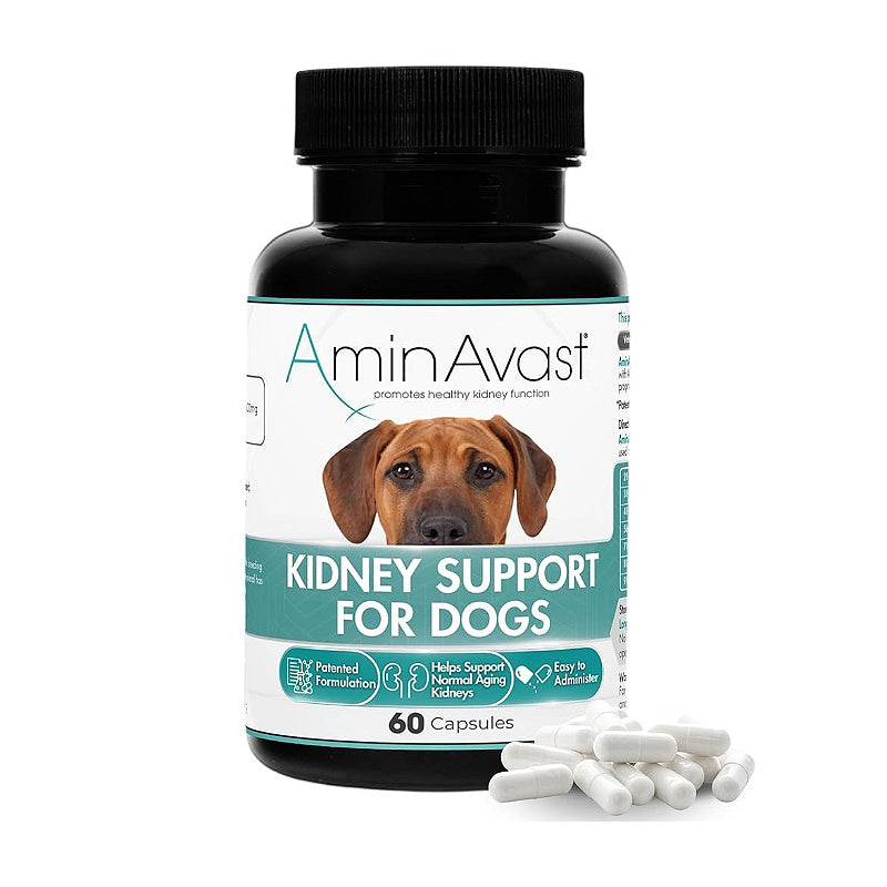 AminAvast kidney support for dogs, 60 capsules, promotes healthy kidney function with patented formula