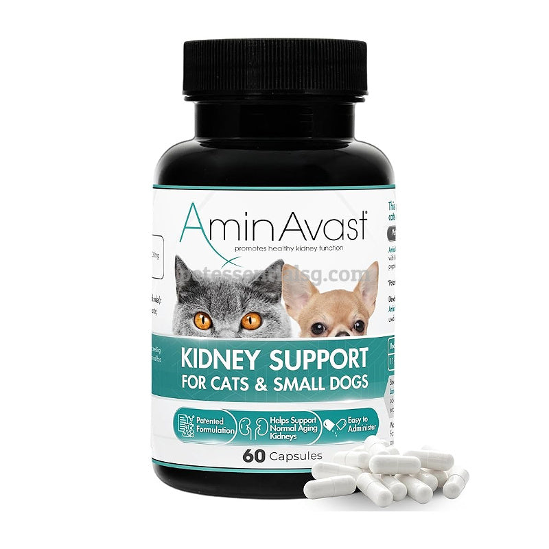 AminAvast kidney support capsules for cats and small dogs, 60-count bottle with white pills, promotes healthy kidney function