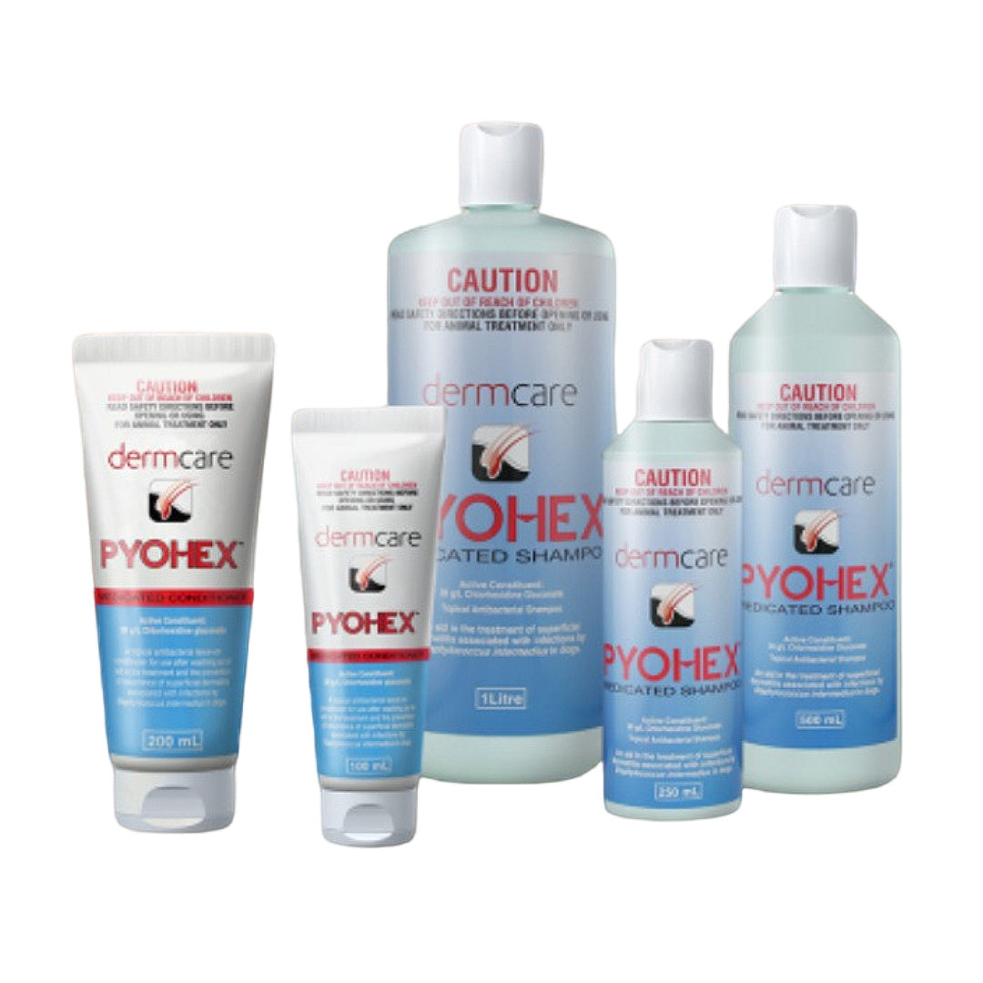 Dermcare Pyohex medicated shampoo & conditioner for dogs, pet grooming supplies