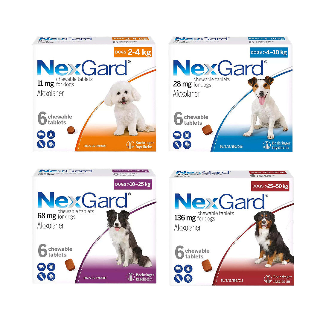 NexGard chewable tablets for dogs by weight: 2-4kg, 4-10kg, 10-25kg, 25-50kg — flea & tick protection