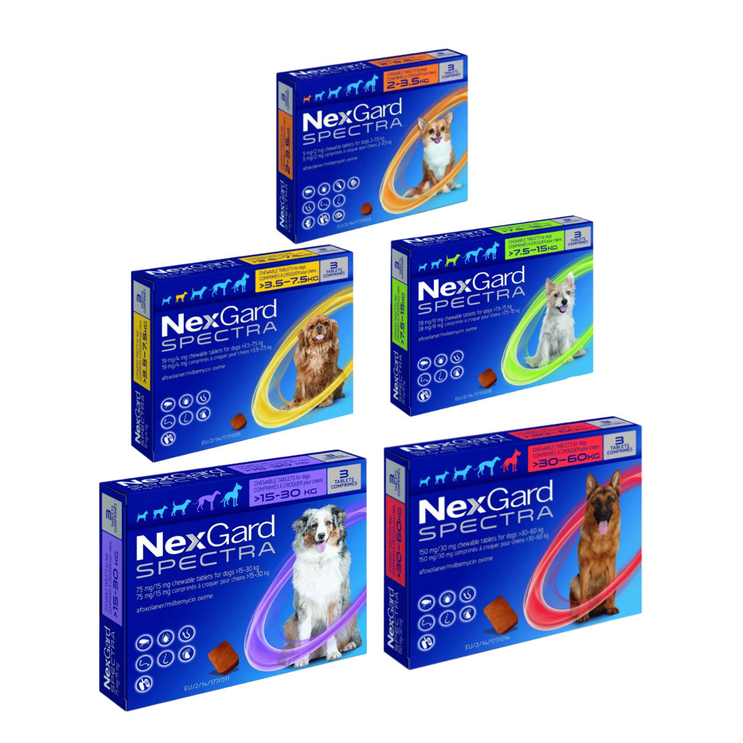 NexGard Spectra chewable tablets for dogs by weight, pet medicine for flea & tick control