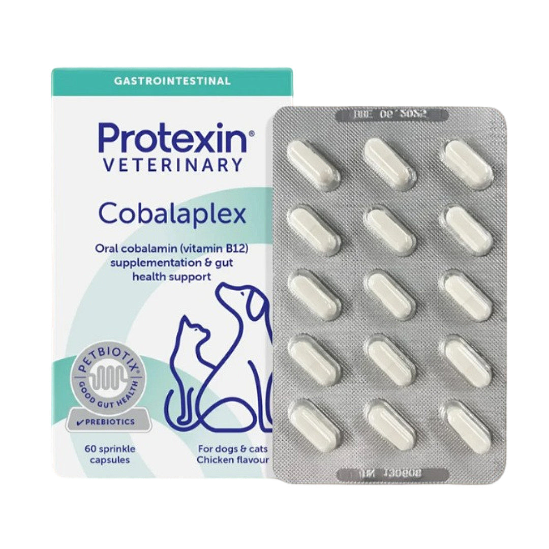 Protexin Cobalaplex for dogs & cats — vitamin B12 gut health supplement, chicken flavor, 60 sprinkle capsules