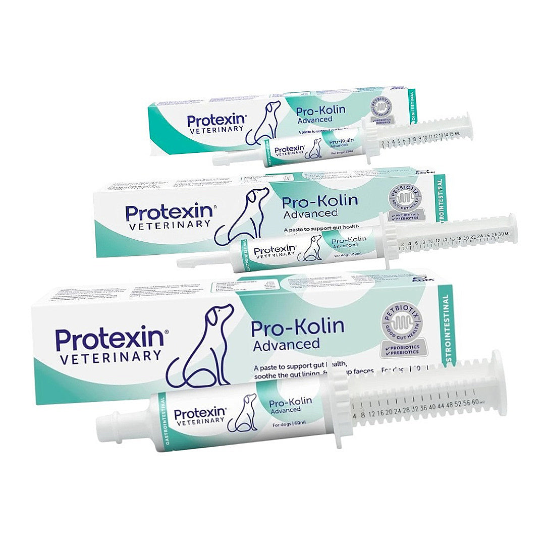 Protexin Pro-Kolin Advanced dog gut health paste with probiotics & prebiotics for digestive support