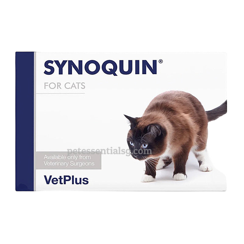 Synoquin for Cats joint supplement by VetPlus, shown with a Siamese cat, available from veterinary surgeons.