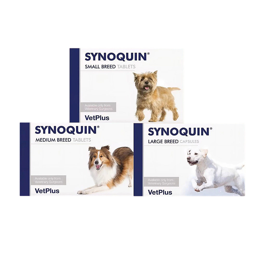 Synoquin dog supplements for small, medium & large breeds — VetPlus tablets & capsules for joint health