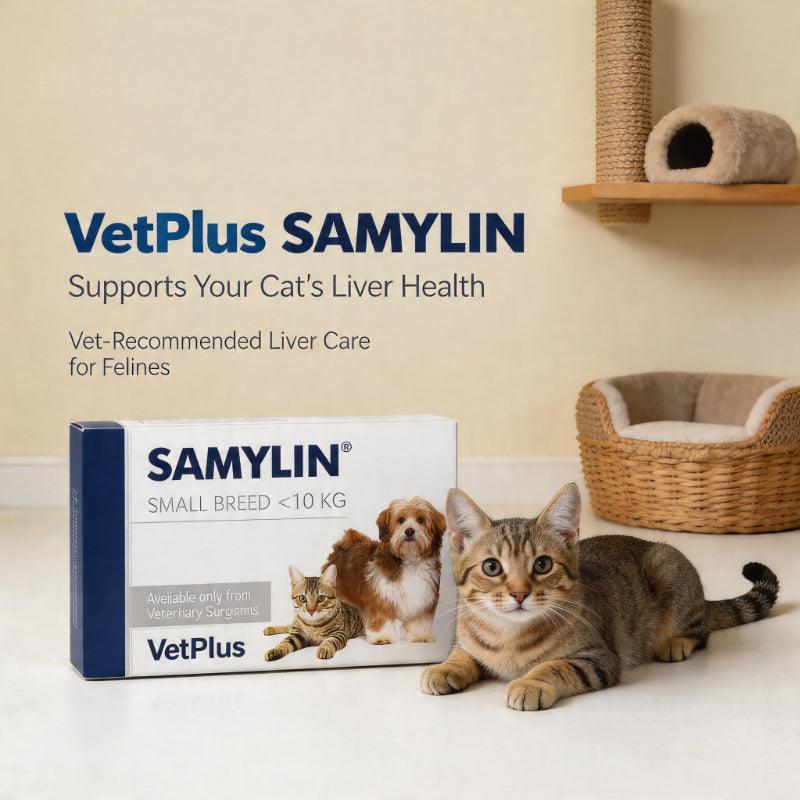 VetPlus SAMYLIN liver care for cats, small breed support, with tabby cat and pet supplies