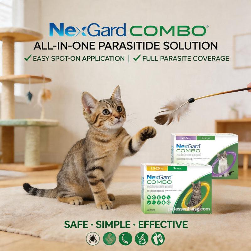 NexGard COMBO cat parasite treatment, safe spot-on solution for kittens, with feather toy play