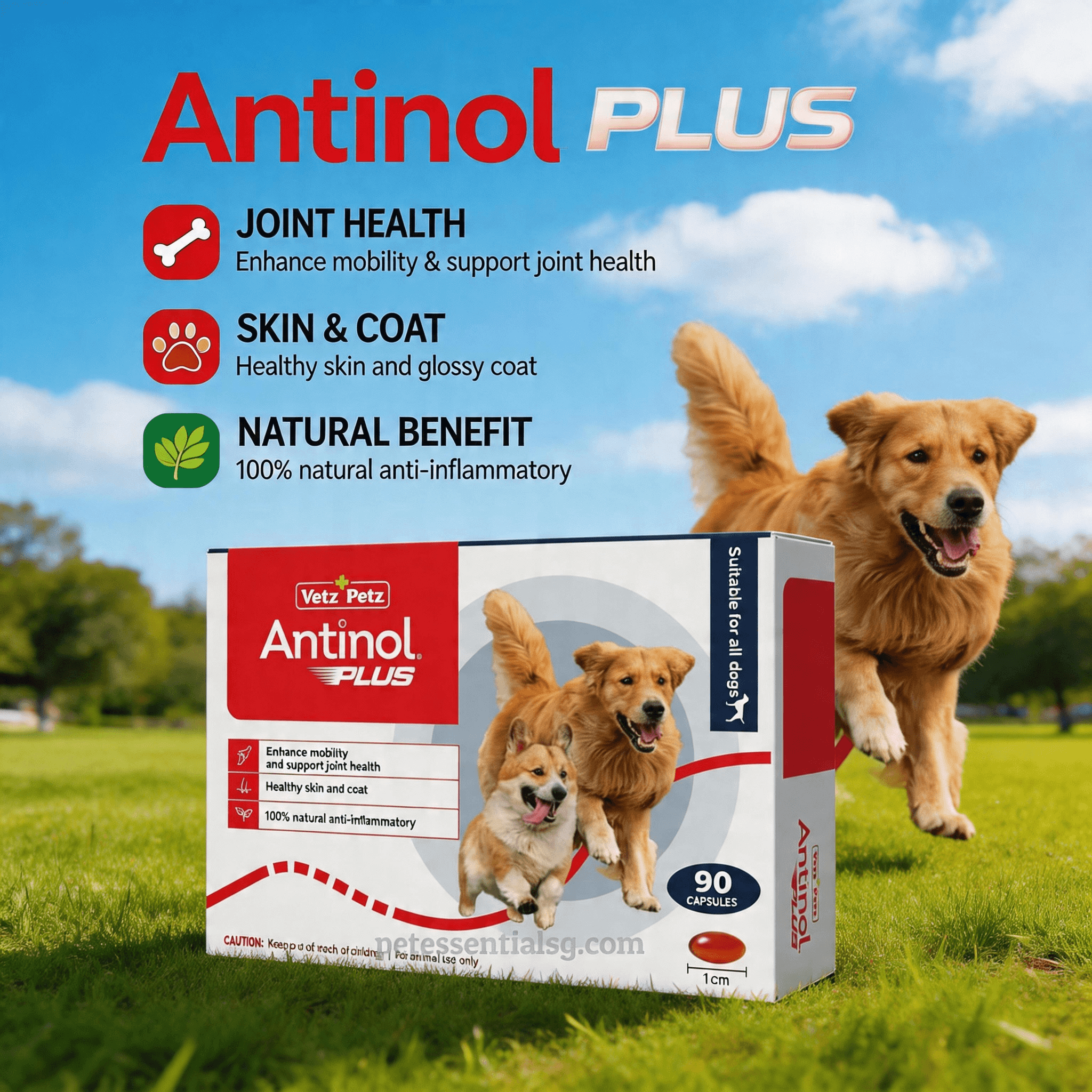 Antinol PLUS dog supplement for joint health, skin & coat, natural anti-inflammatory, 90 capsules